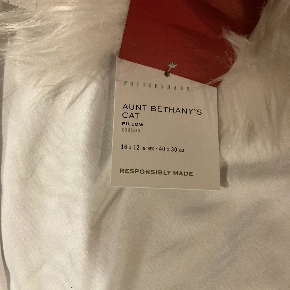 NEW Pottery Barn National Lampoon's Christmas Vacation Cat Pillow NWT